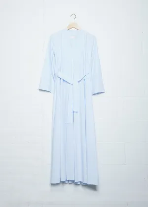Dino Dress — Oxford