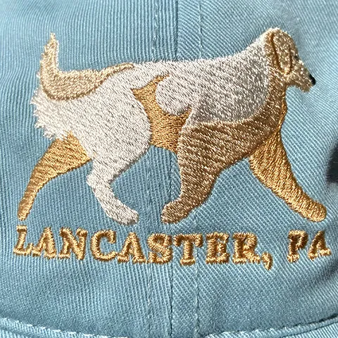 Dog Hat