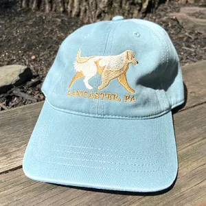 Dog Hat