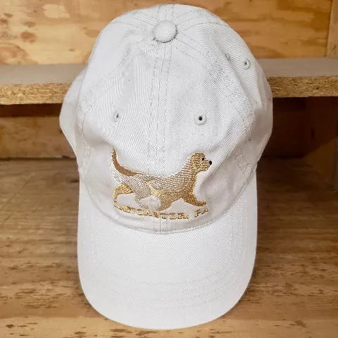 Dog Hat
