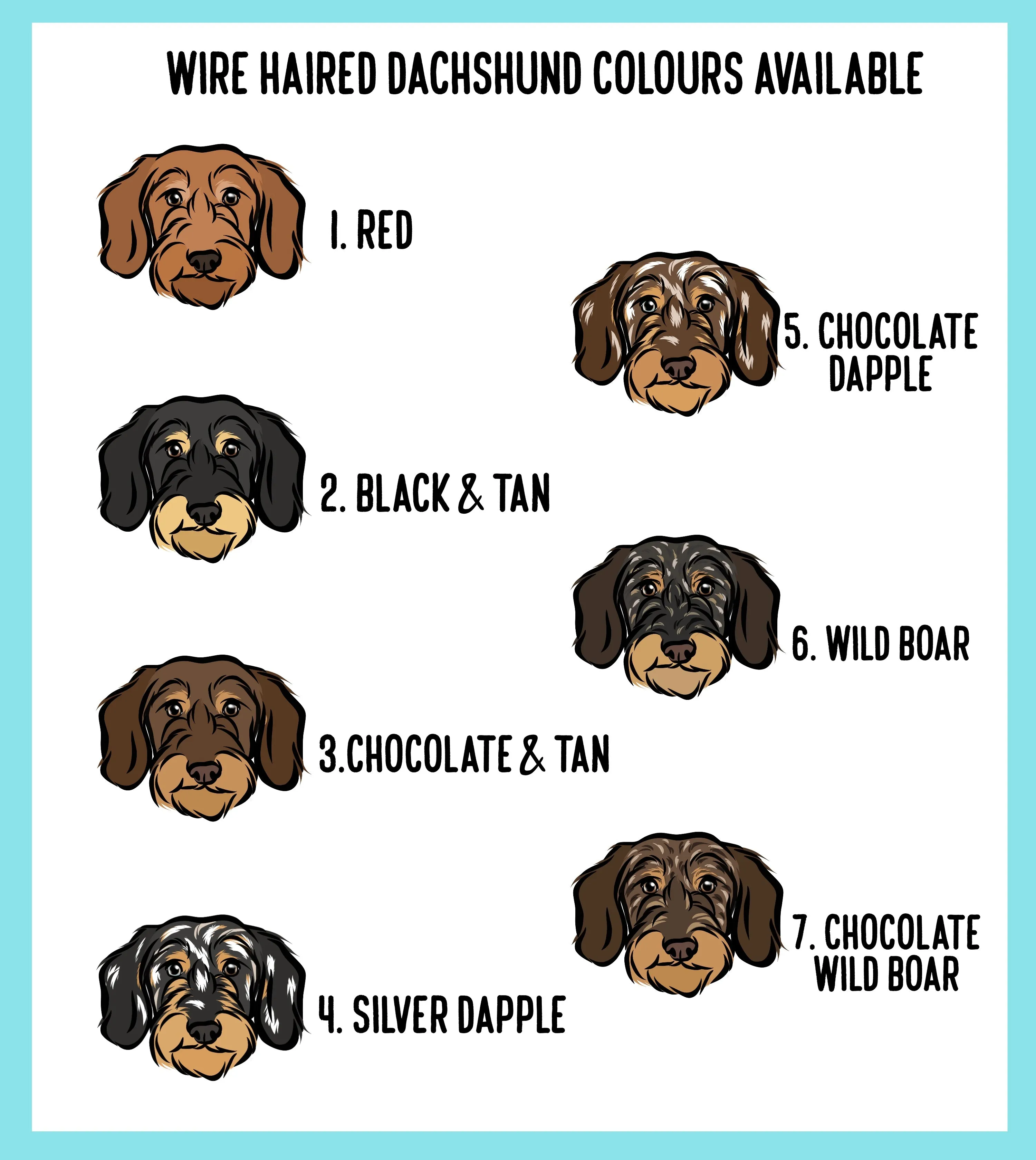 Wire Haired Dachshund T-Shirt